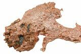 Natural Native Copper Formation - Michigan #383044-1